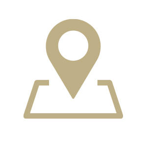 The Location Pro Logo