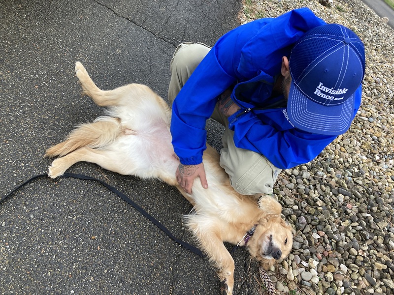 Invisible Fence® trainee and team member in Hancock County, IN