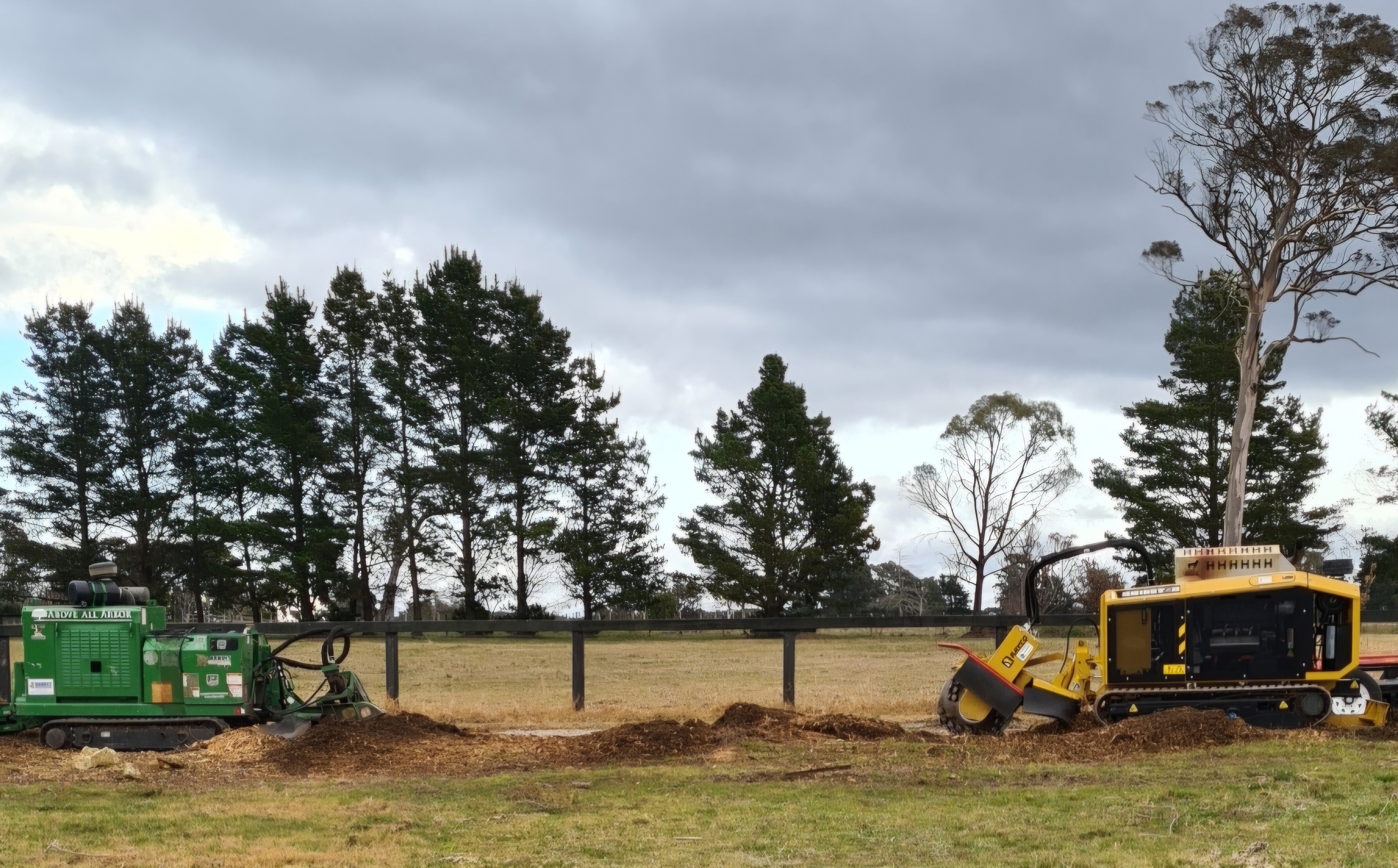 Images Above All Arbor