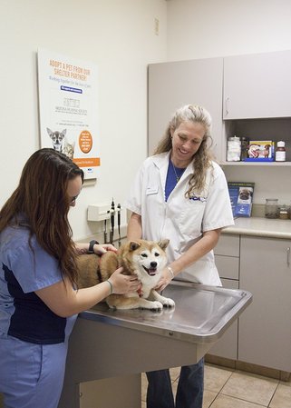 Images VCA Elliot Park Animal Hospital