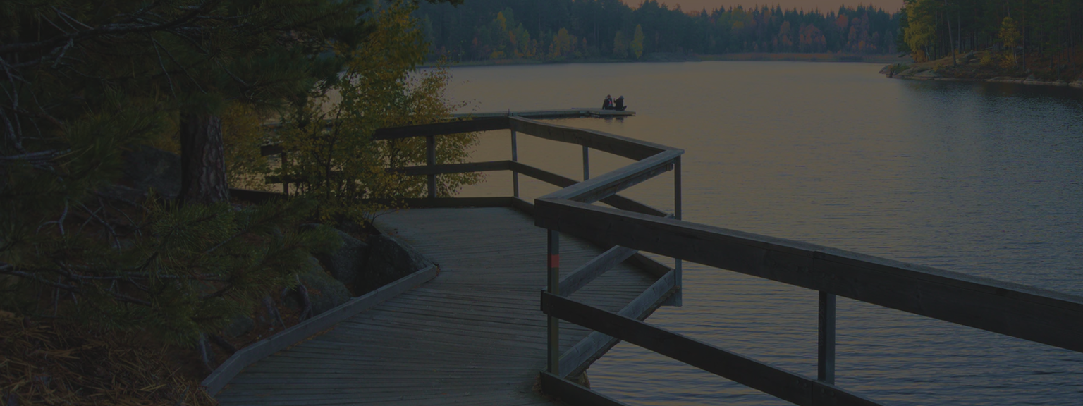 A raised boardwalk by a body of water.