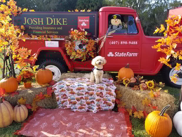 Images Josh Dike - State Farm Insurance Agent