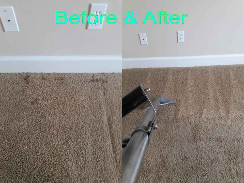 Able Body Carpet & Restoration Photo