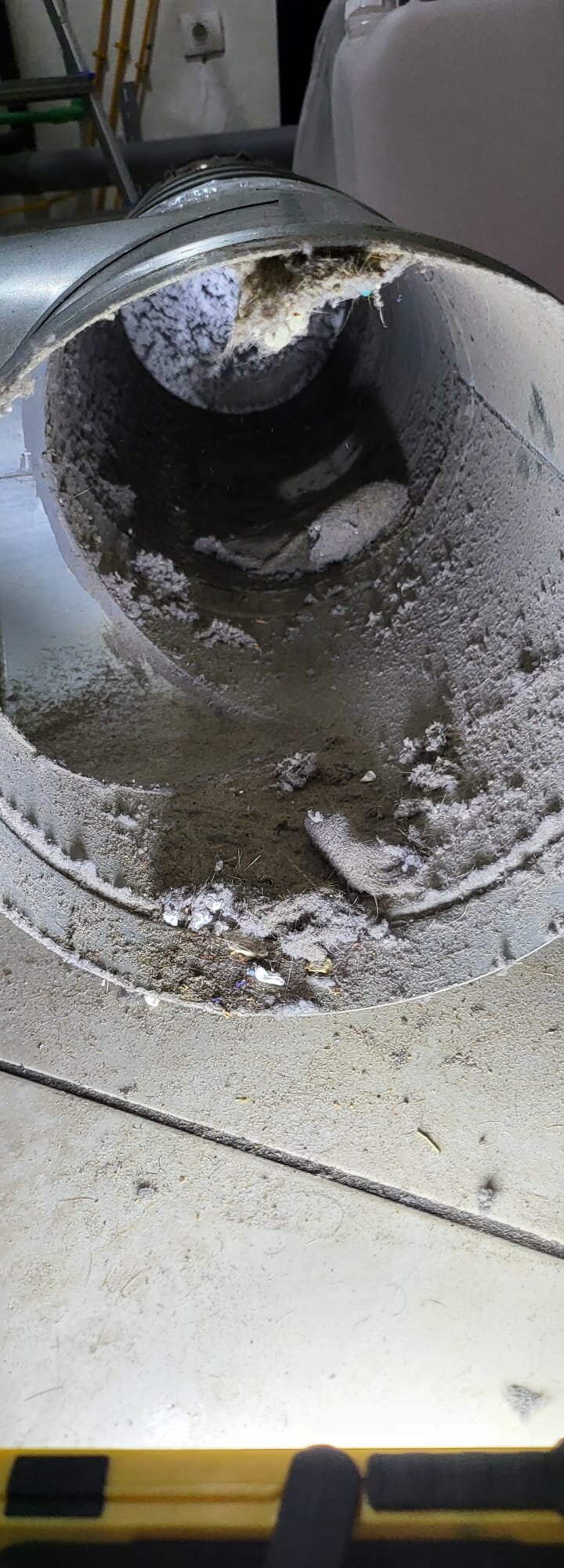 Images Deshollinador Gran Canaria