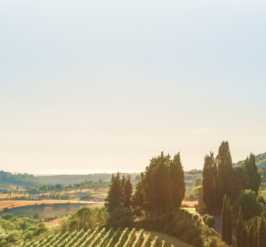 A sunlit Tuscan landscape.