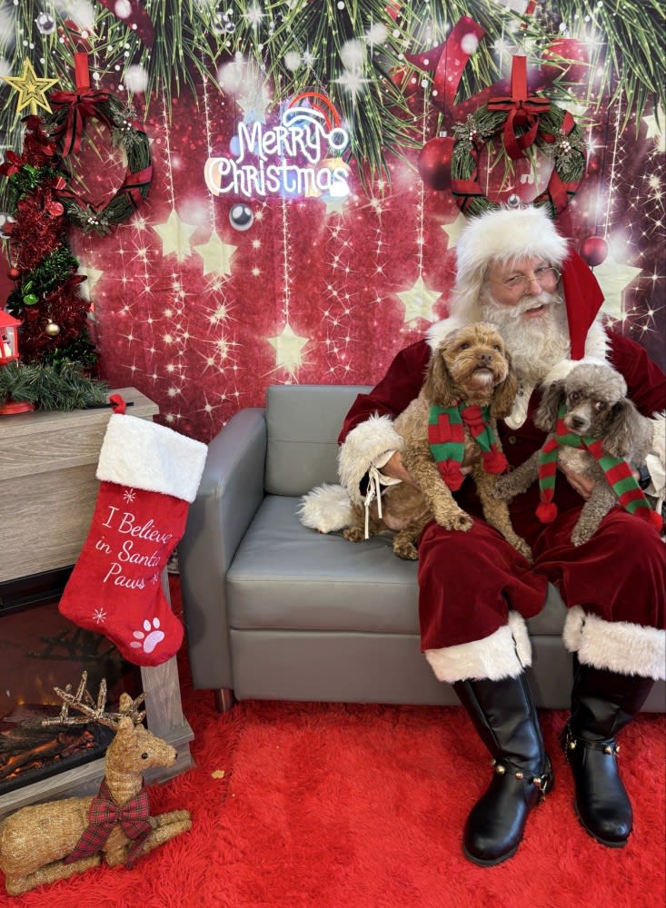 The Dog Stop - Katy Image