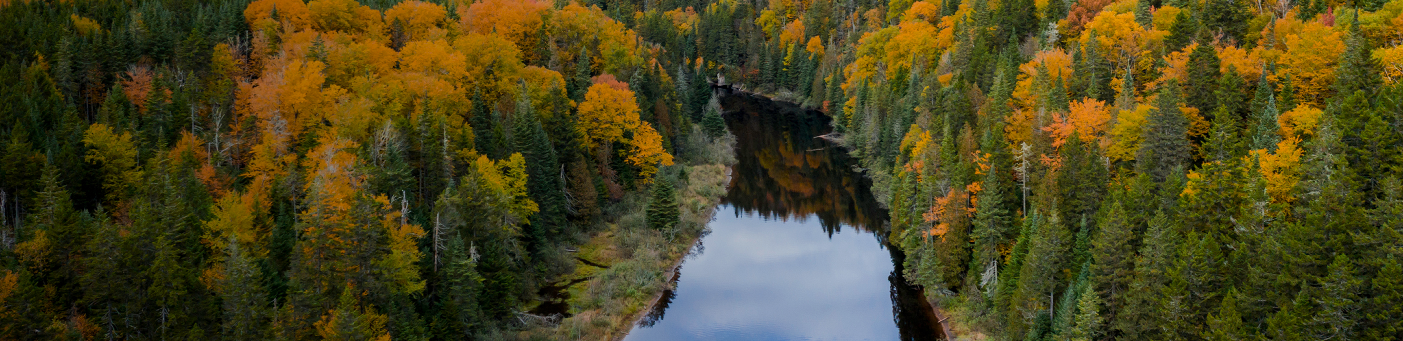 Aerial view of a river running through an autumn forest.
