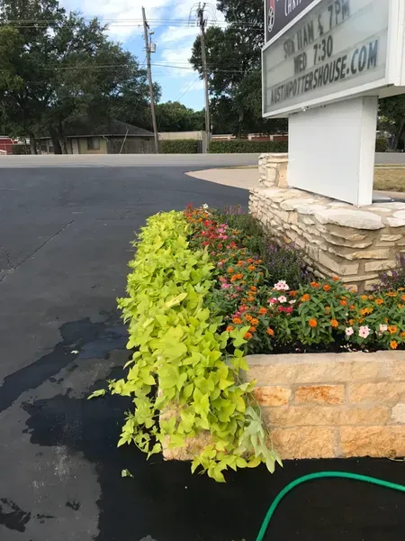 Hill Country Tree Trimming Image