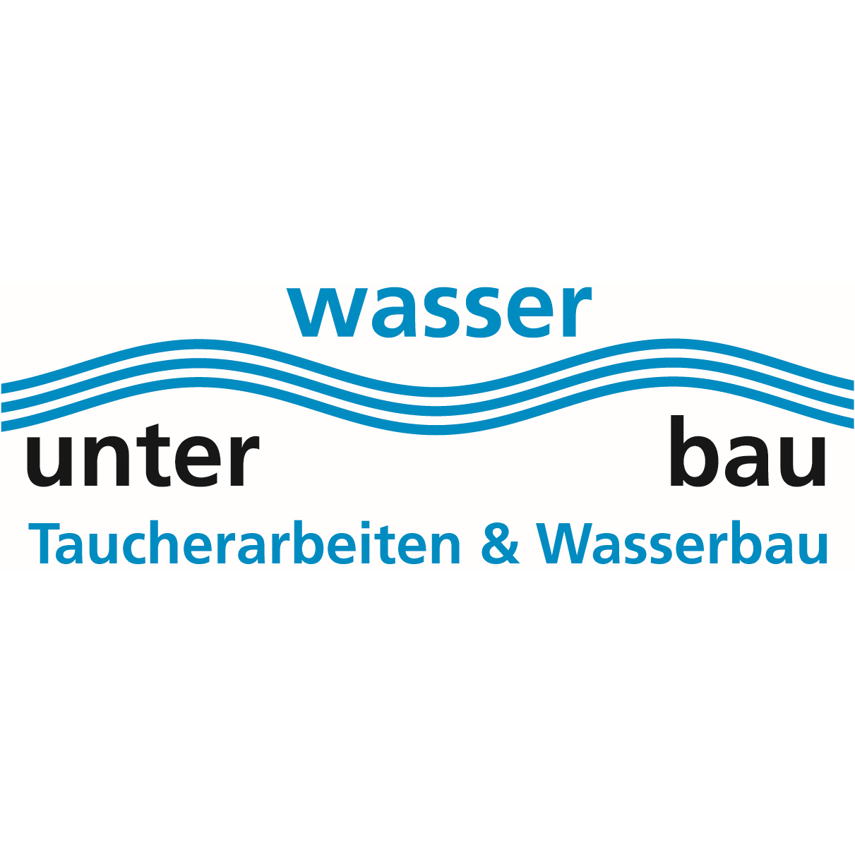 Bauunternehmung David Wiederkehr Unterwasserbau AG Logo