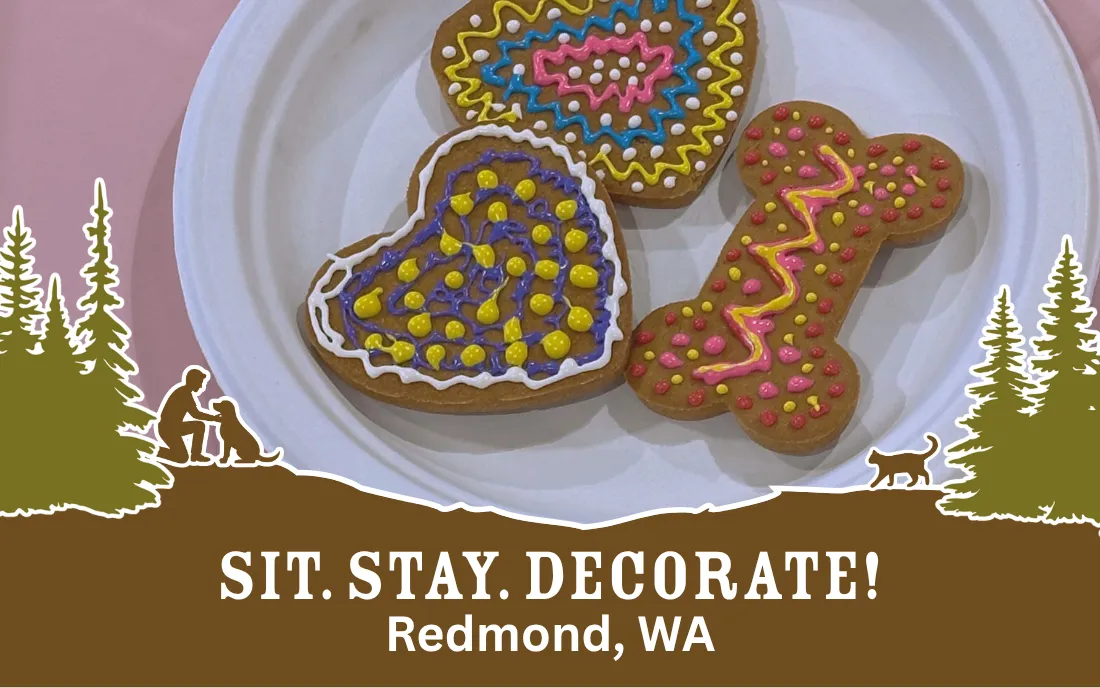 Image of Local Pet Event Sit. Stay. Decorate! | Redmond, WA Nearby