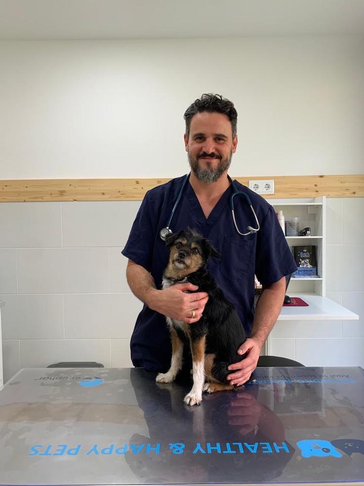 Images Mascota Avenue - Centro Veterinario y Peluqueria Canina/Felina Poblenou