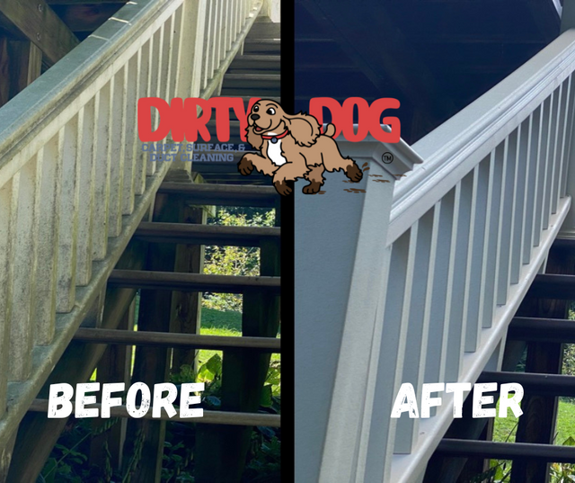 Dirty Dog Carpet, Surface and Duct Cleaning Harrisonburg (540)208-2628