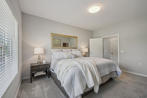 Images Sugar Maple Commons