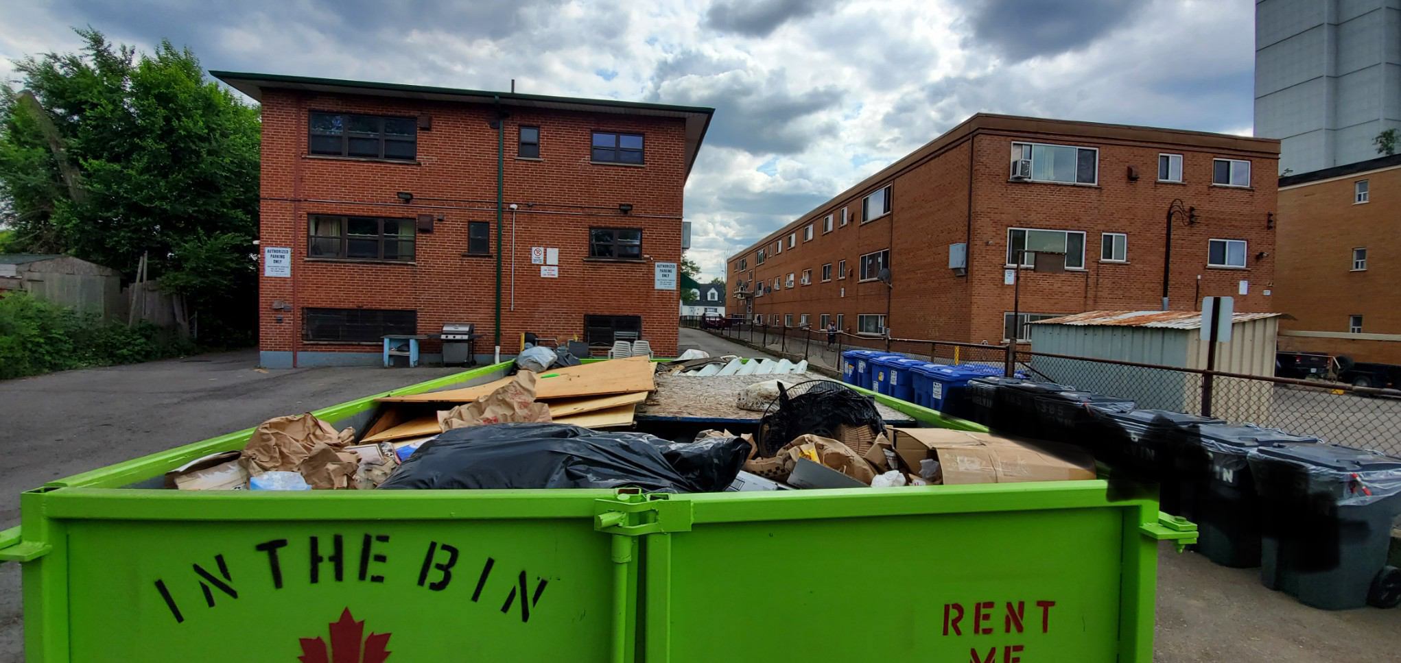 Images In the Bin