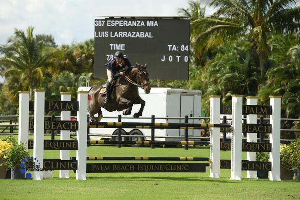 Images Palm Beach Equine Clinic