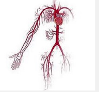 Images Luppino Dott. Giuseppe e Luppino Dott. Giovanni