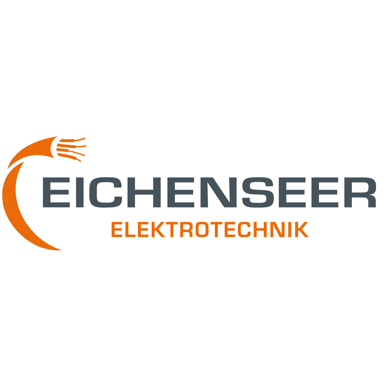 Logo Elektrotechnik Eichenseer