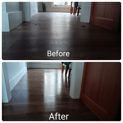 Solution Sisters Cleaning Company Logo