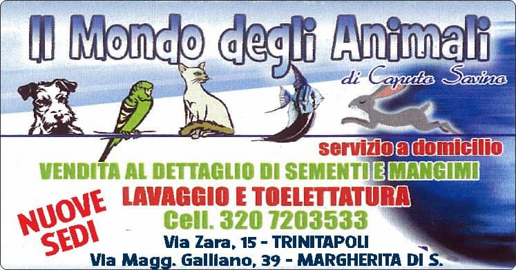 Images Il Mondo degli Animali