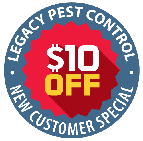 Pest control coupon for new customers