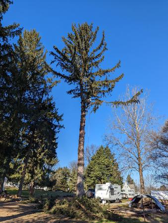 Images Grind Time Tree Service