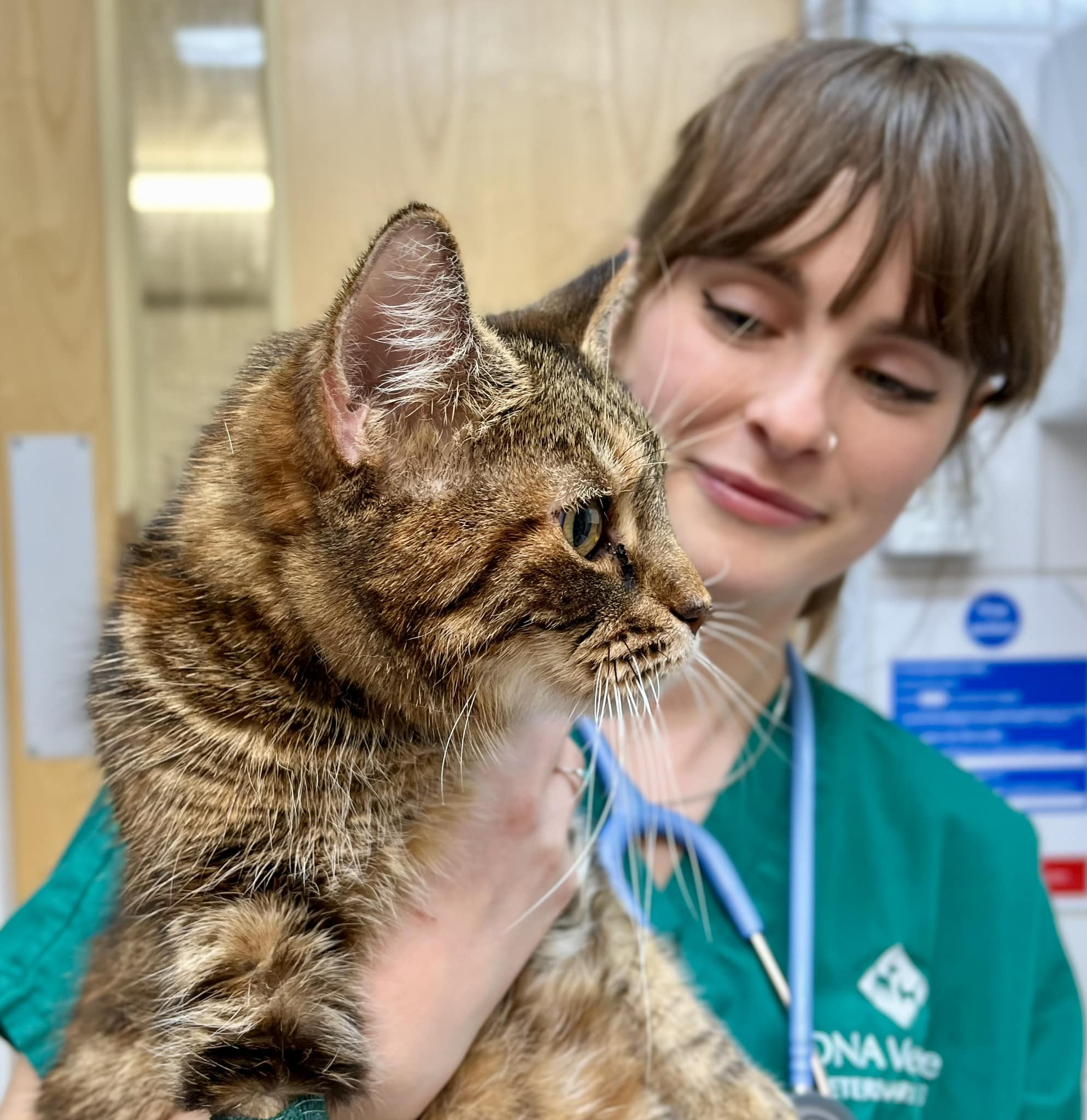 Images Streatham Hill Veterinary Surgery