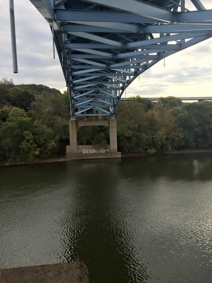 Webber's Electric Image