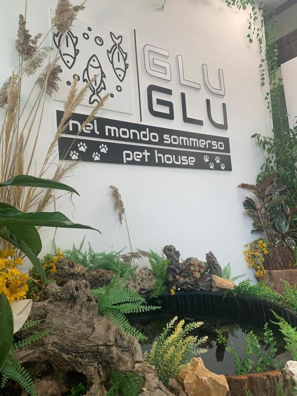 Images Glu Glu Pet House