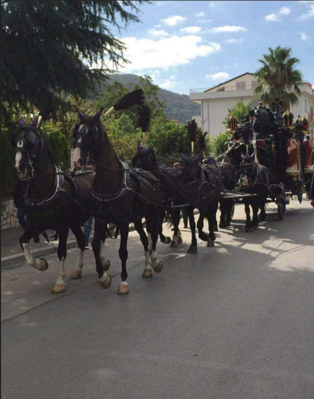 Images Director Funeral - Gerardo Melchiorre