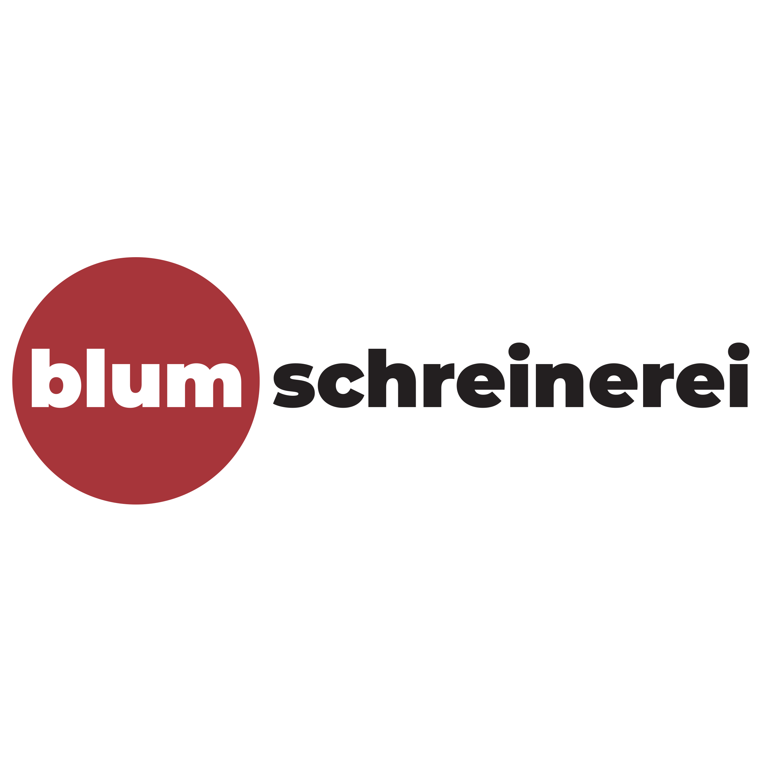Blum Schreinerei AG Logo