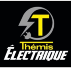 Themis Electrique Logo