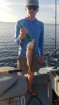 Images E-6 INSHORE FISHING ADVENTURES, LLC