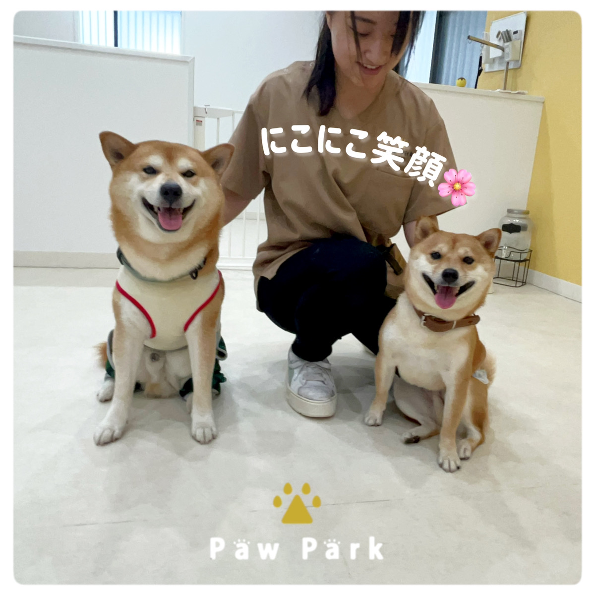 Images PawPark 犬のようちえん 高槻店