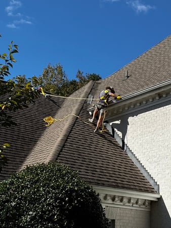 Images Window Hero Raleigh