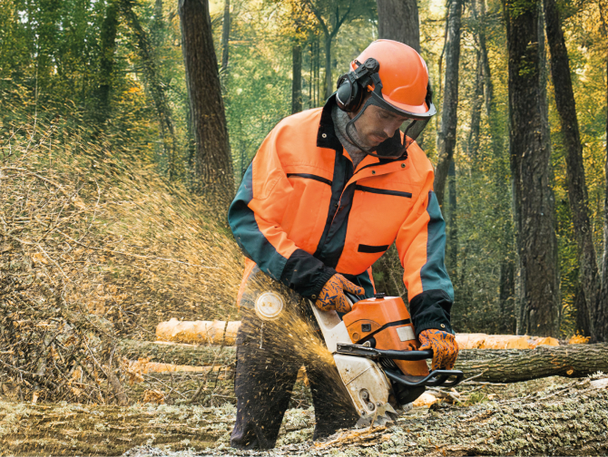 Catalogue spécial Coupe du bois