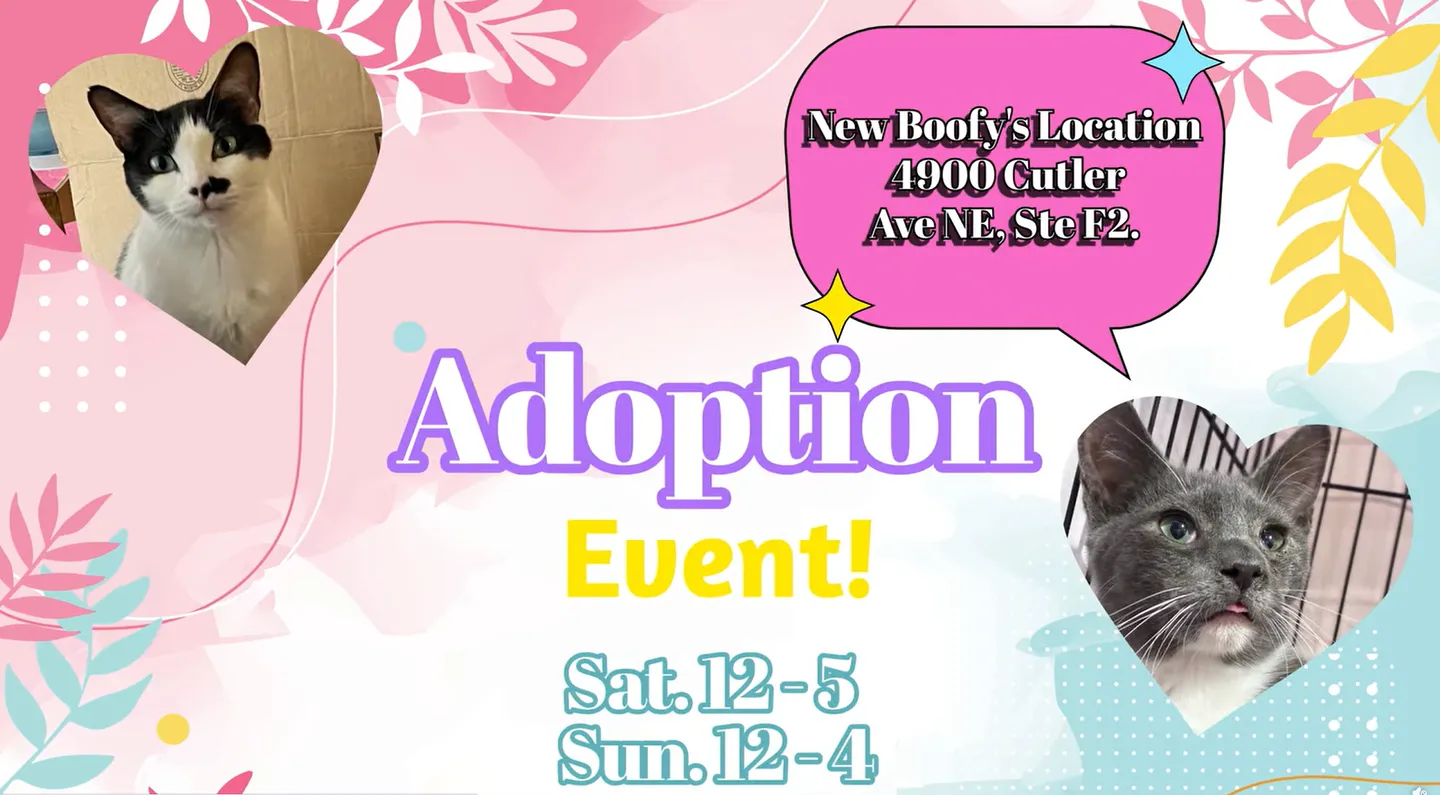 Image of Local Pet Event Adoption Day at Boofy's Kat Kastle Suites (Cutler store) Nearby