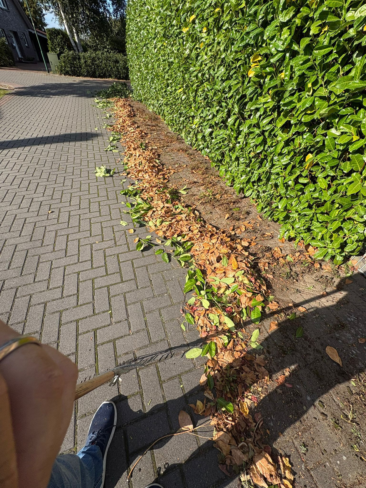 Haushaltshilfe Oldenburg, Feldahornweg 27 in Oldenburg