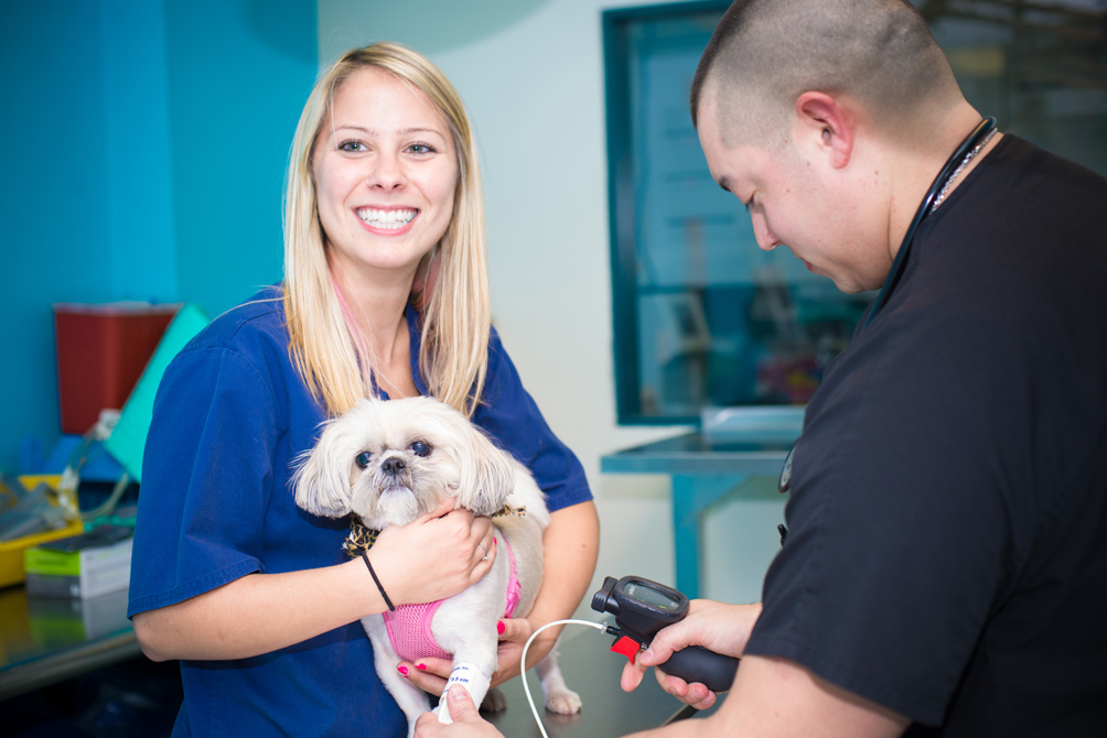 Levittown Animal Hospital Photo