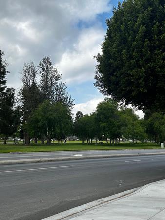 Images Akua Mental Health Long Beach