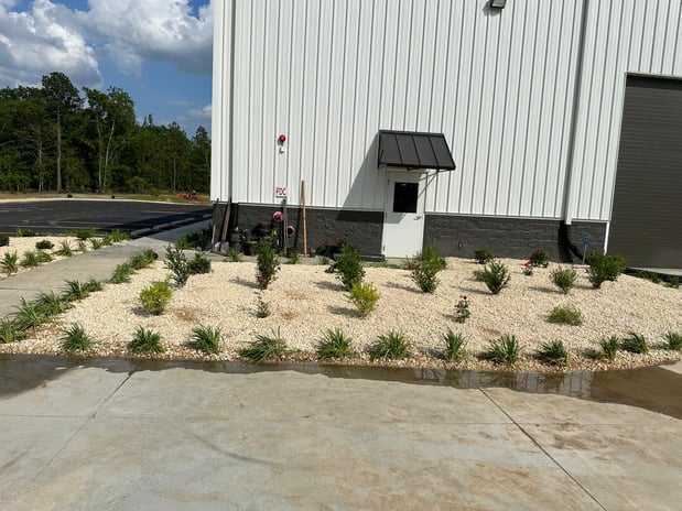 Images Juan Mata Lawn Care Services