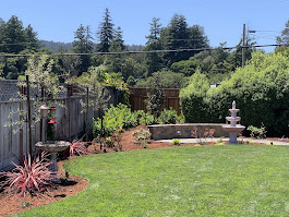 Images Flathead Turf & Landscape