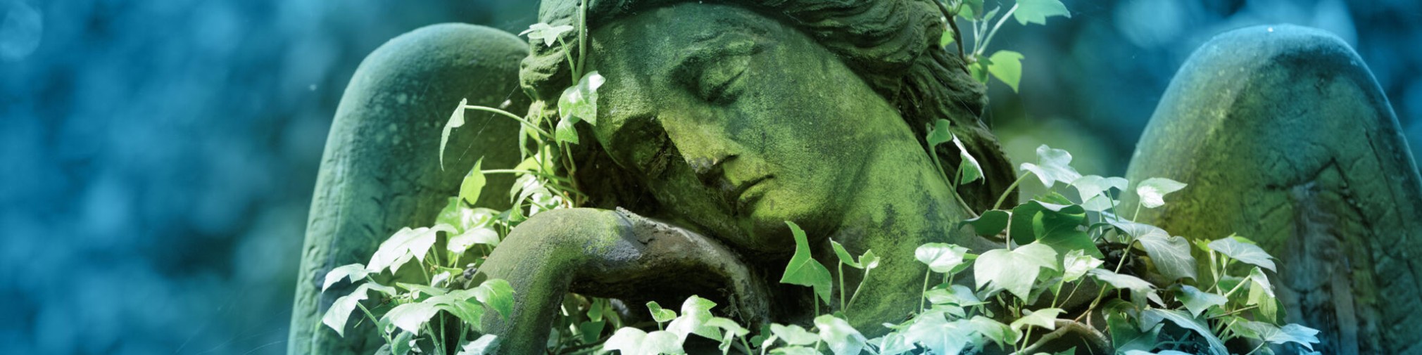 Bilder Siemoneit & Wüthrich Bestattungsdienste GmbH