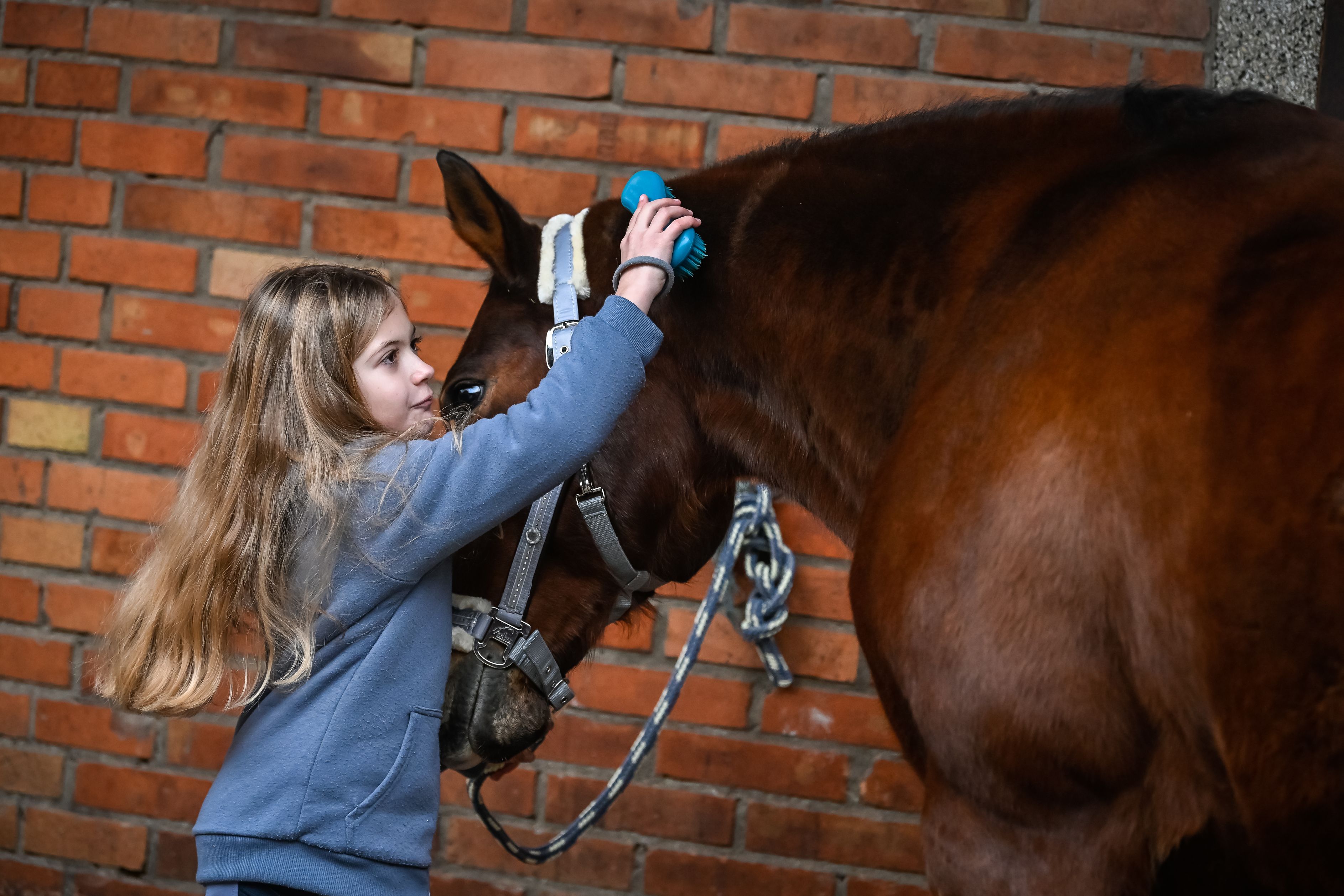 Bilder Reitsportzentrum St. Josefen AG
