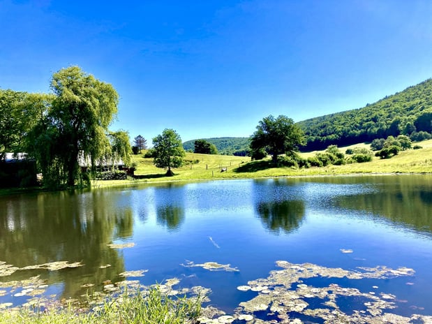 Images Redwood Inn & Suites