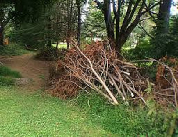 Accurate Handyman Tree Service Llc In Canby Or 97013 For Maps And Directions To Accurate Handyman Tree Service Llc View The Map Right Reviews Of See Below