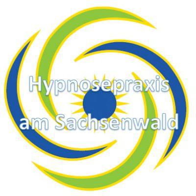 Logo Hypnosepraxis am Sachsenwald