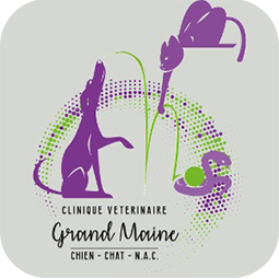 Clinique Vétérinaire Grand Maine Angers 49 - Chien Chat NAC - Drs Parez et Logo