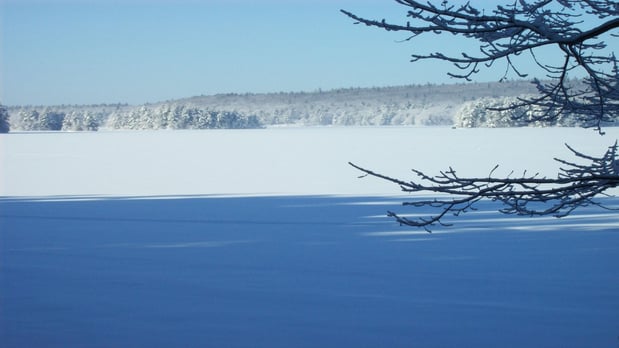 Images Maine State Credit Union