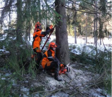 Images Metsä Matikainen Oy