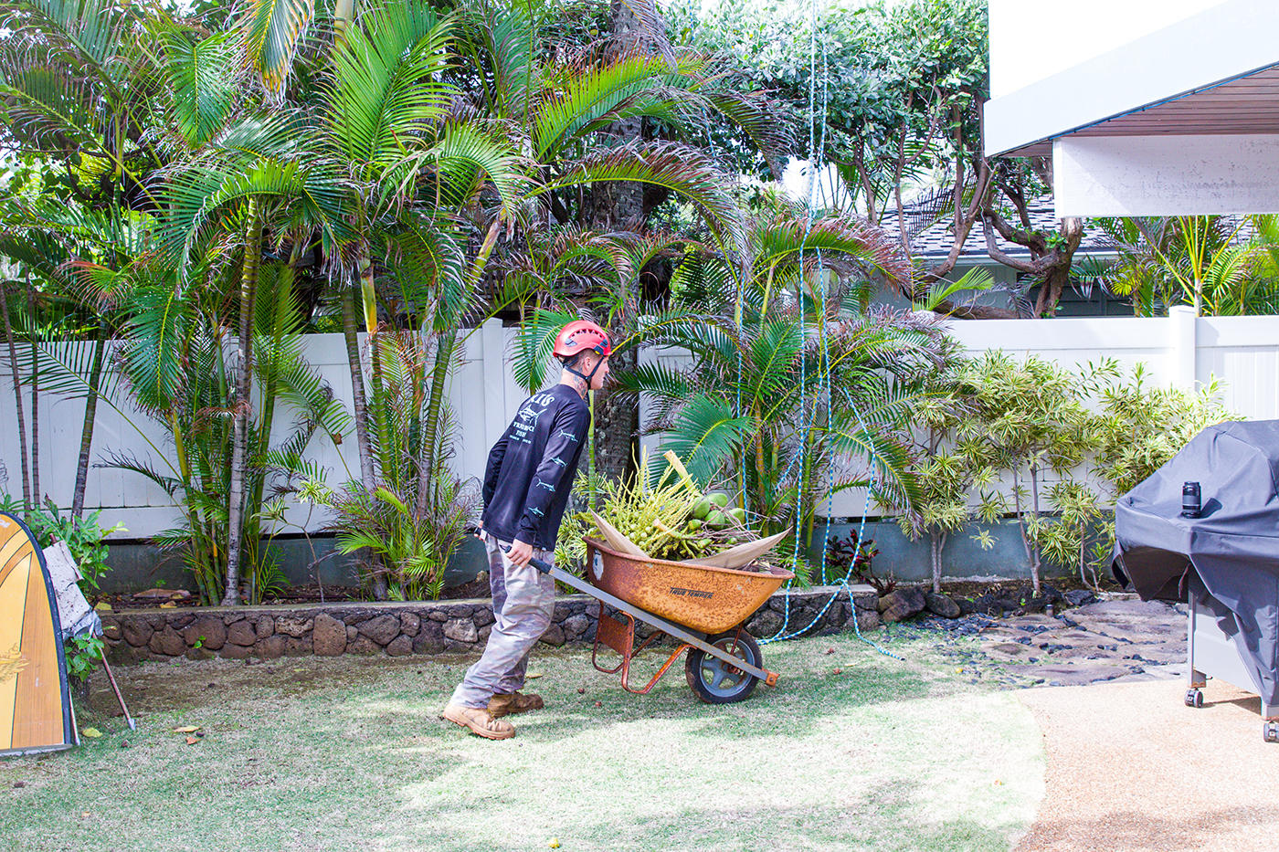 With a focus on safety, a tree service technician in Oahu, Hawaii, uses proper gear and techniques to trim trees near a home.